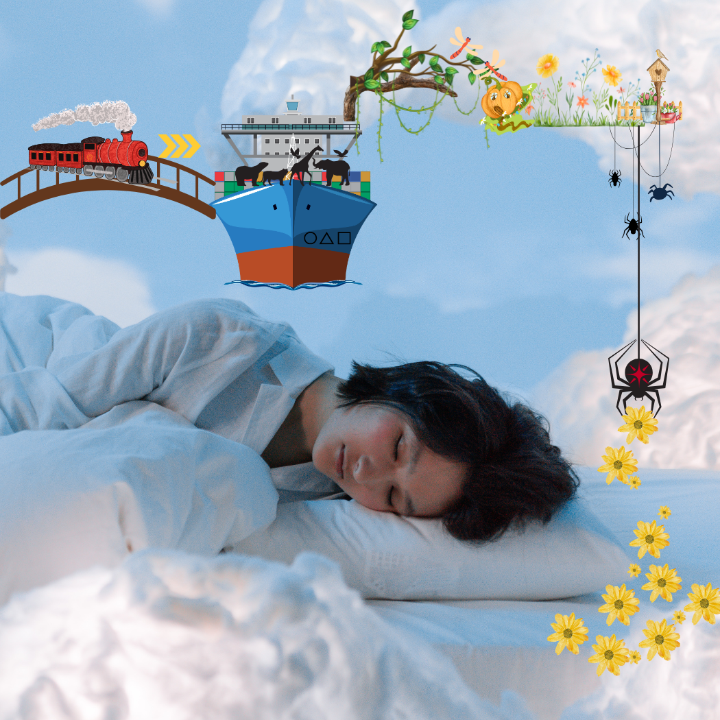 Shamanic Dreamwork | Shamanic Dream Analysis